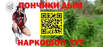 шишки Апшеронск